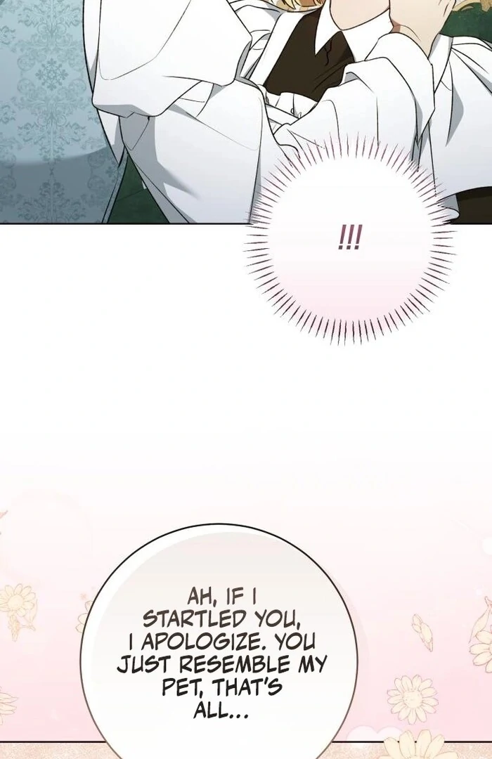 Read My Husband Was Stolen Twice Manga Online