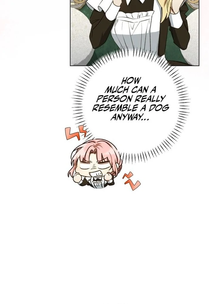 Read My Husband Was Stolen Twice Manga Online