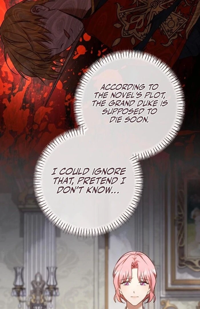 Read My Husband Was Stolen Twice Manga Online