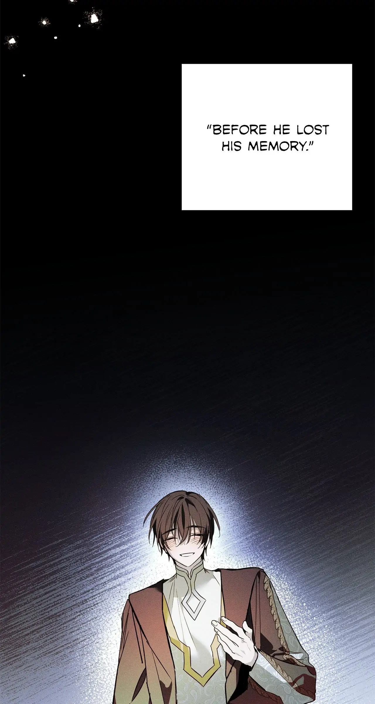 Read My Husband Who Hates Me Has Lost His Memories Manga Online