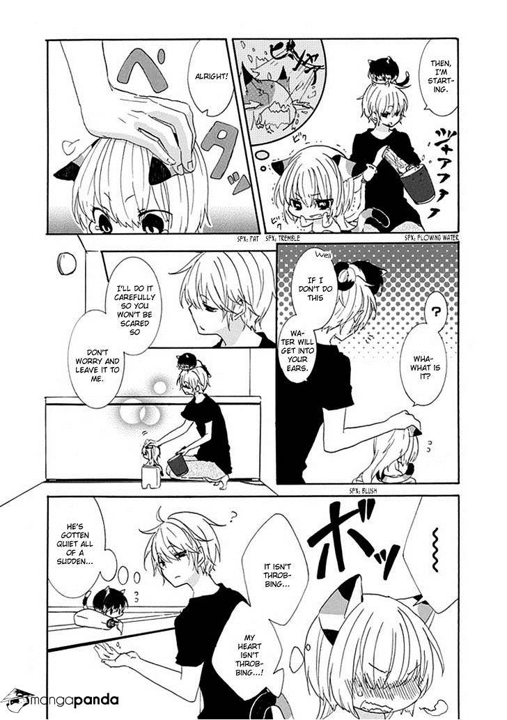 Read Nukoduke! Manga Online