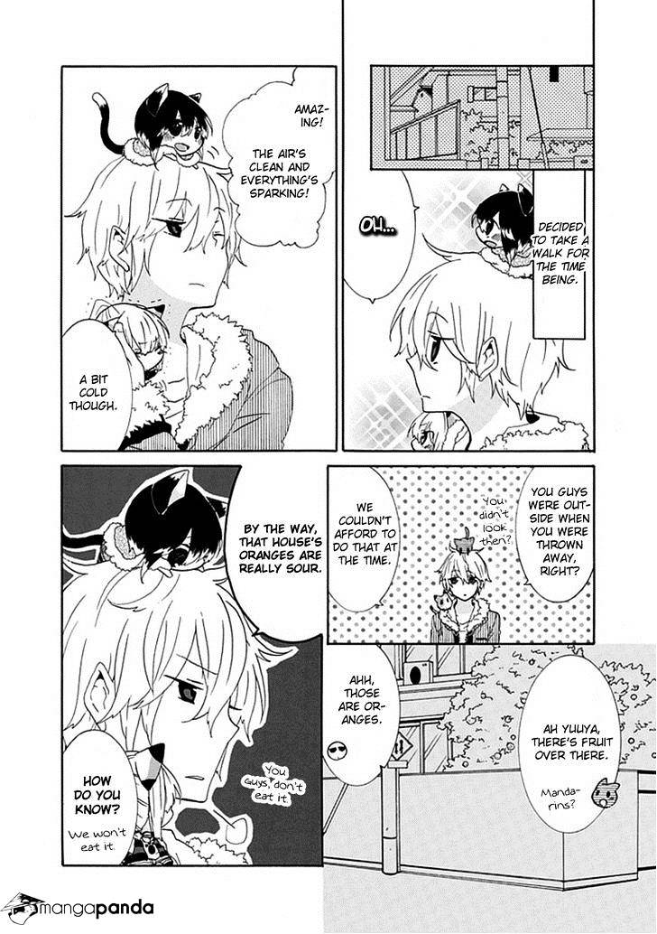 Read Nukoduke! Manga Online