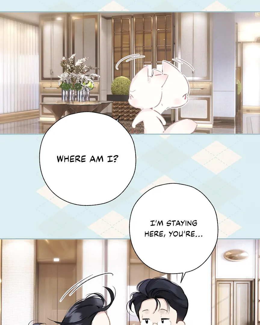 Read Only for Love Manga Online