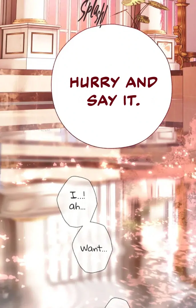 Read Only for Love Manga Online