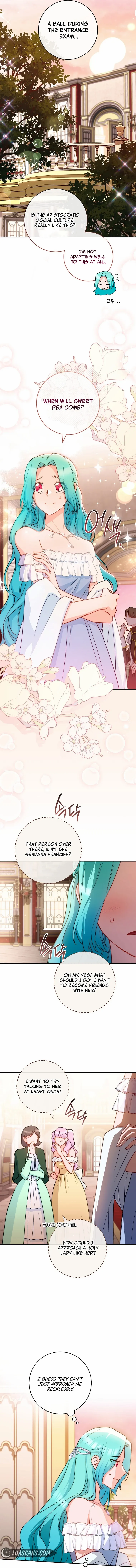 Read Royal Shop Of Young Lady Manga Online