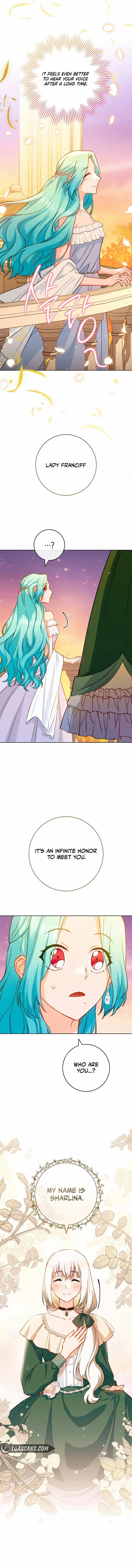 Read Royal Shop Of Young Lady Manga Online