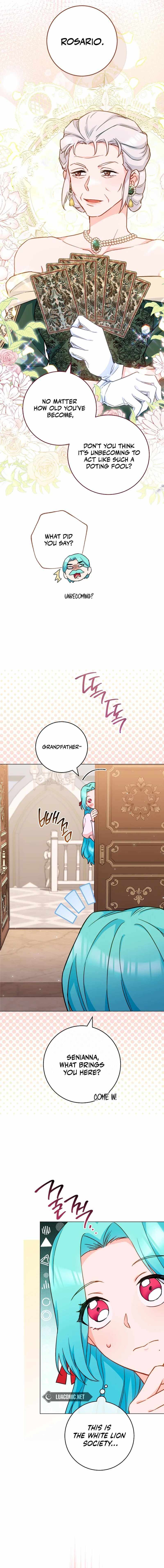 Read Royal Shop Of Young Lady Manga Online