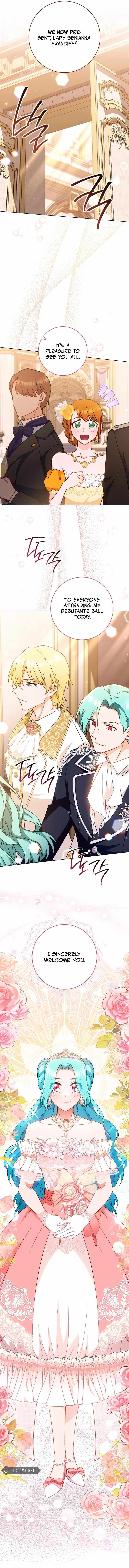 Read Royal Shop Of Young Lady Manga Online
