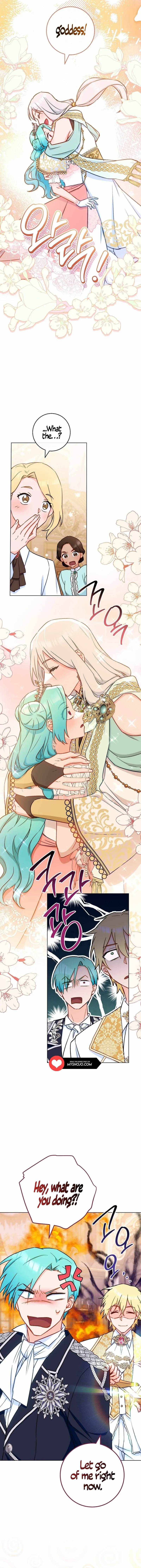 Read Royal Shop Of Young Lady Manga Online