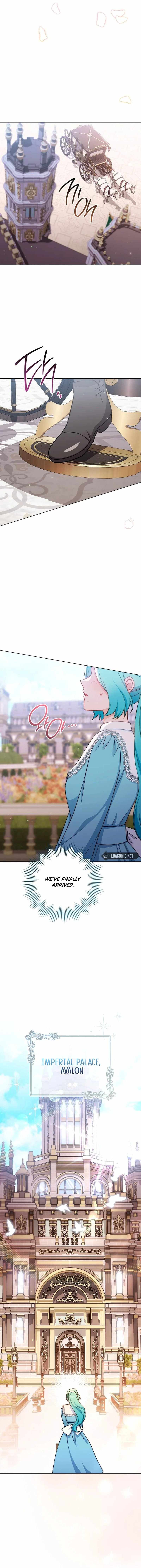 Read Royal Shop Of Young Lady Manga Online