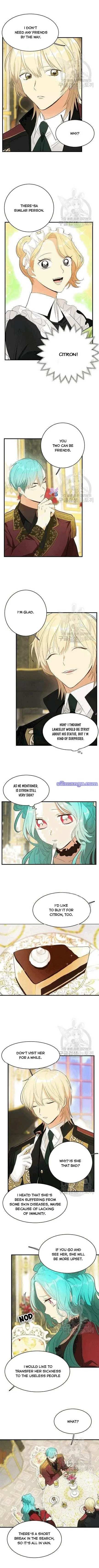 Read Royal Shop Of Young Lady Manga Online