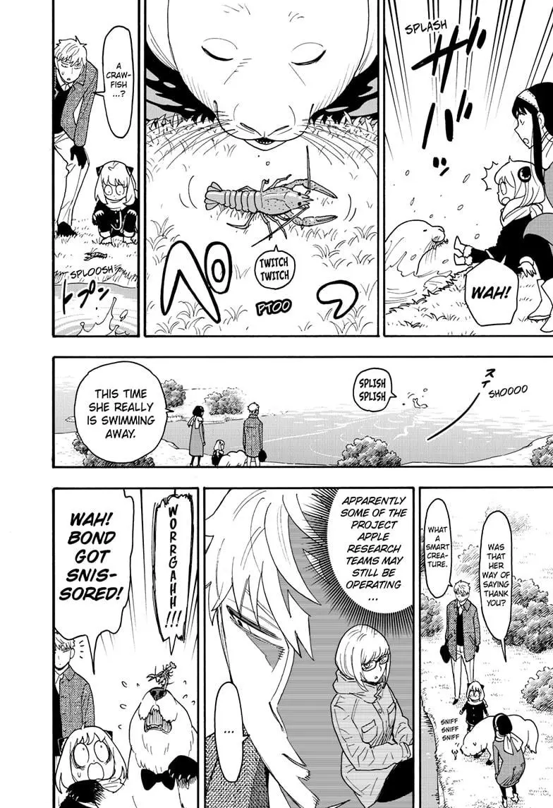 Read SPY x FAMILY Manga Online