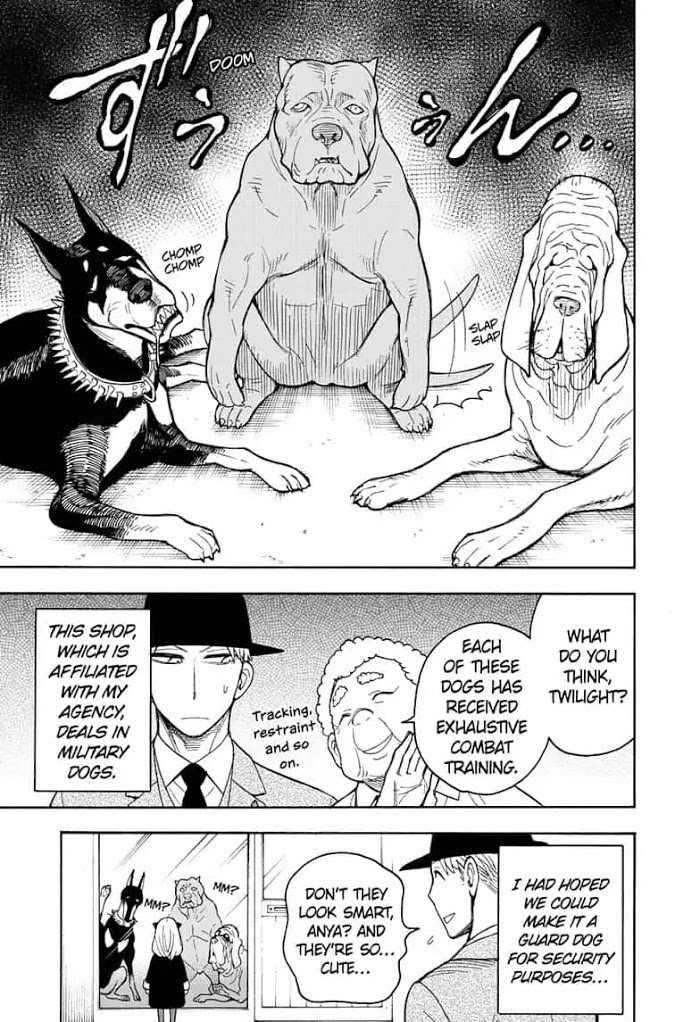 Read SPY x FAMILY Manga Online