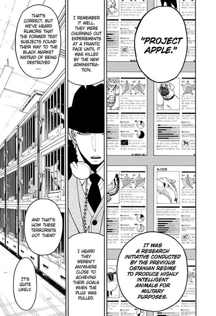 Read SPY x FAMILY Manga Online