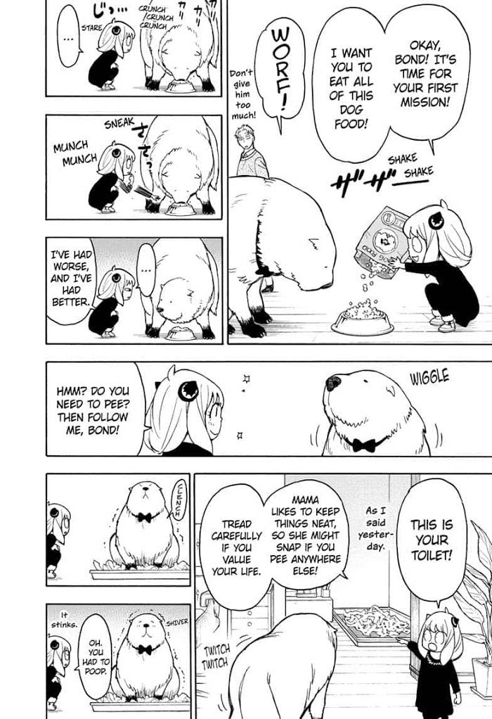 Read SPY x FAMILY Manga Online