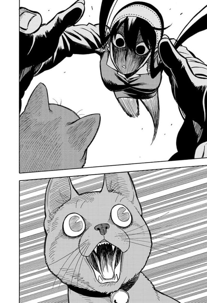Read SPY x FAMILY Manga Online