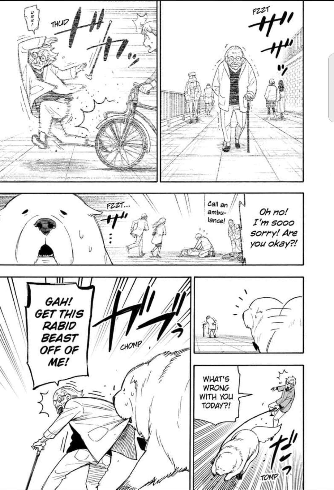 Read SPY x FAMILY Manga Online