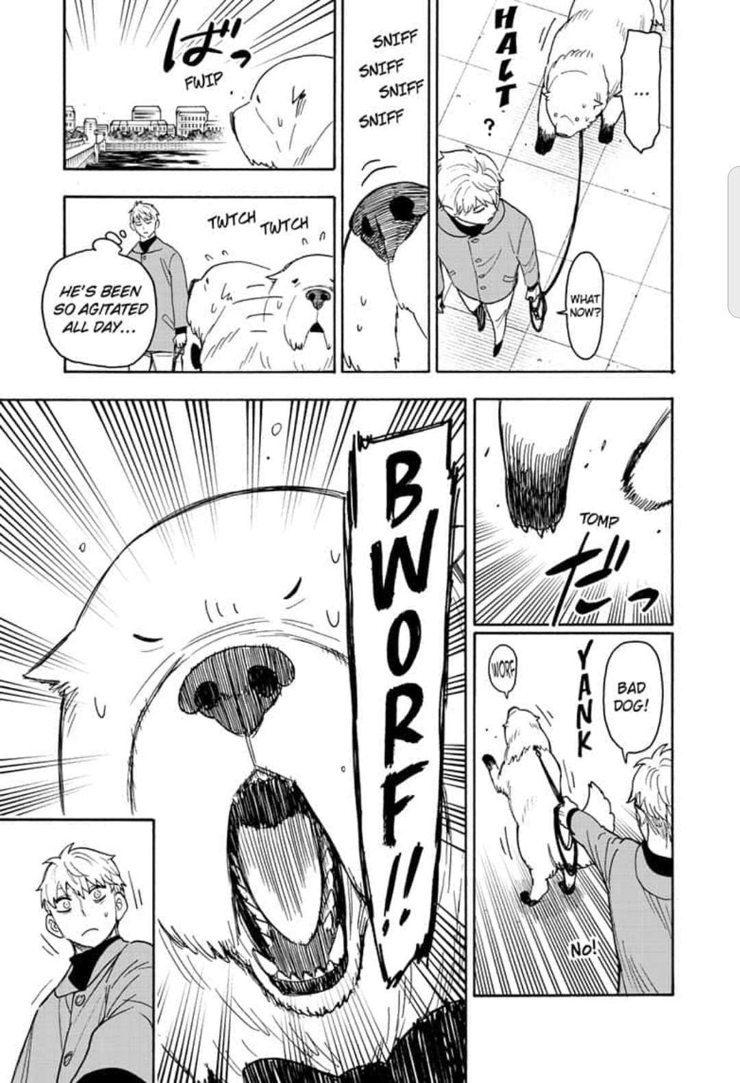 Read SPY x FAMILY Manga Online