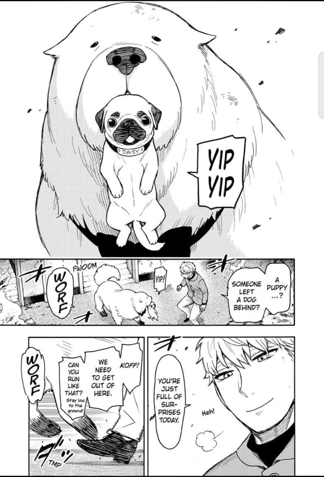 Read SPY x FAMILY Manga Online