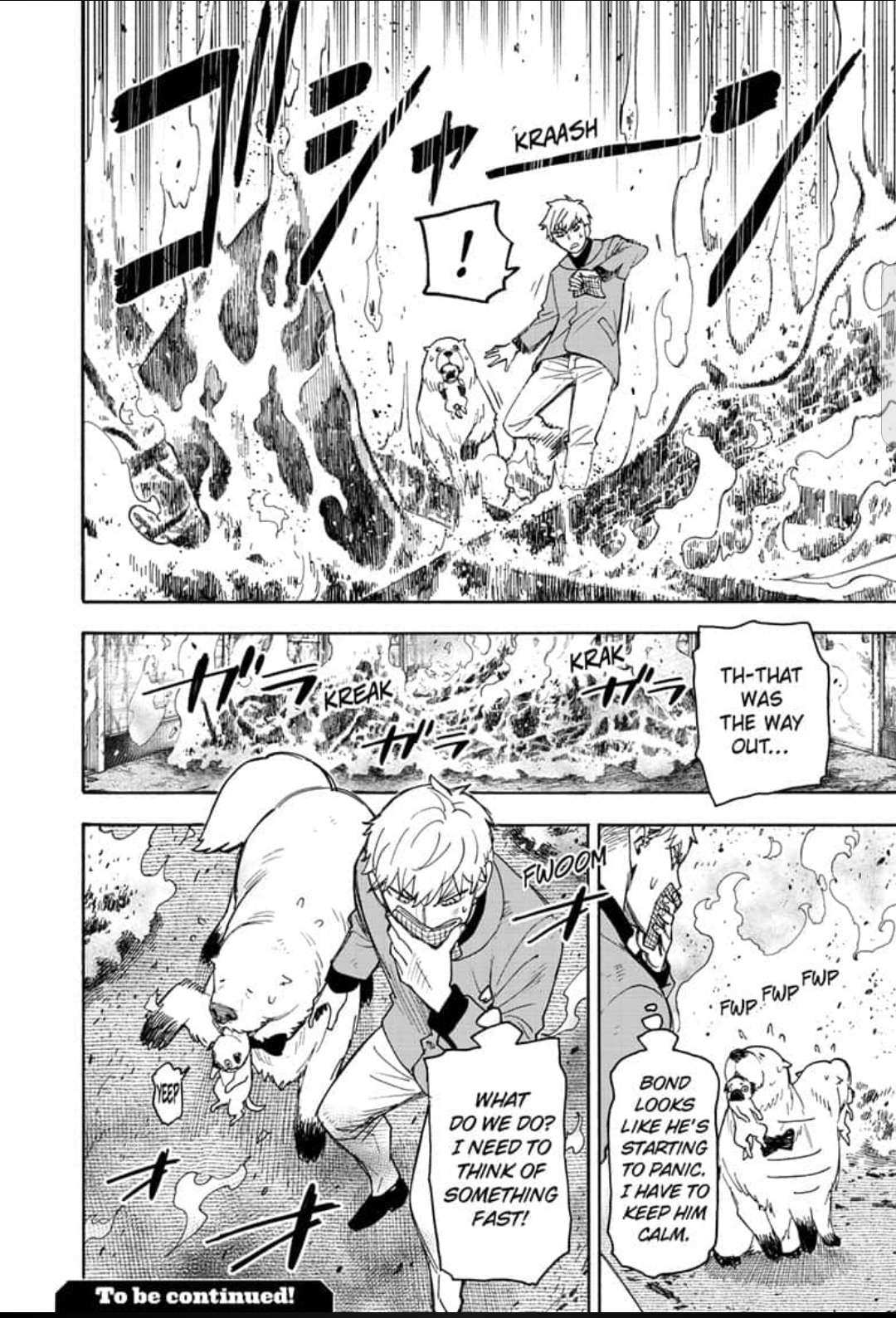 Read SPY x FAMILY Manga Online