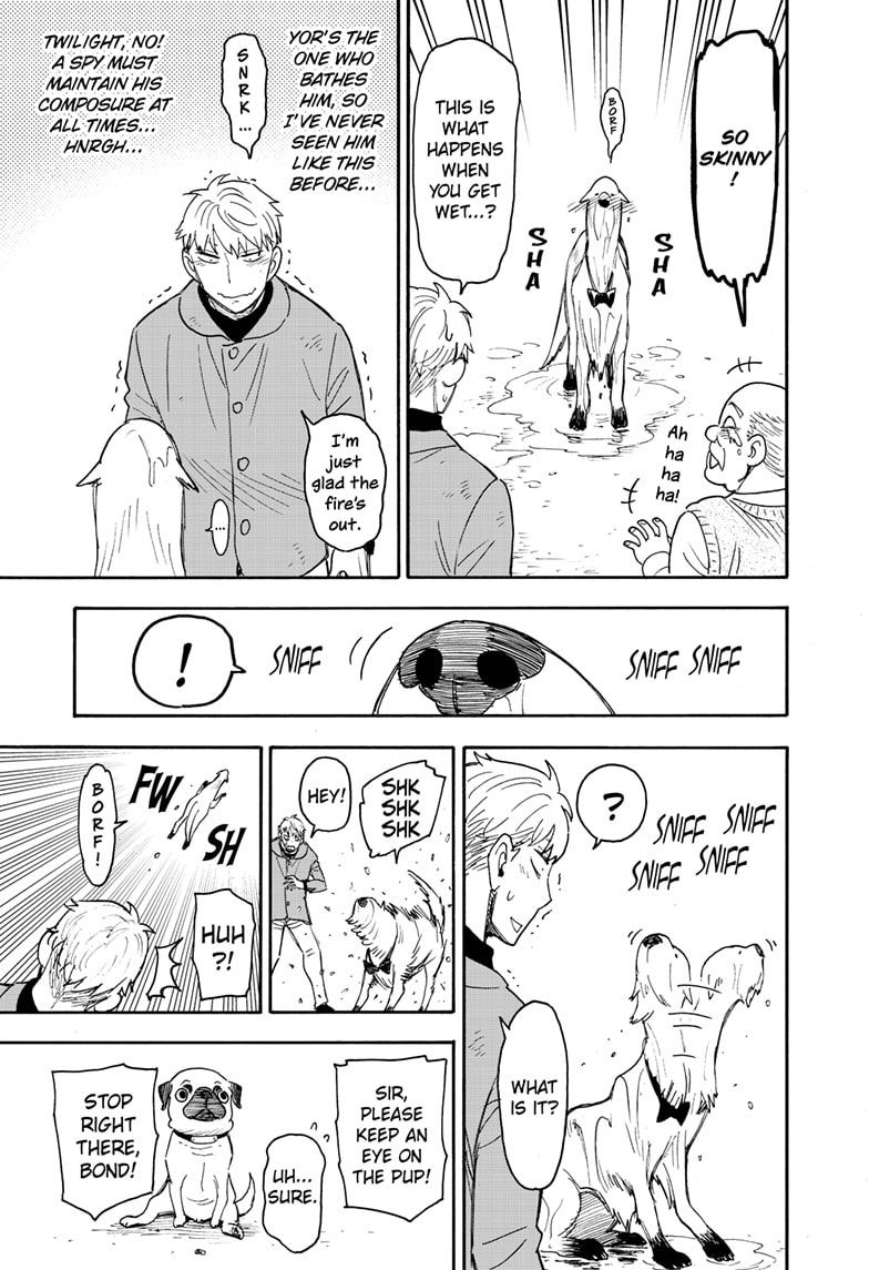 Read SPY x FAMILY Manga Online