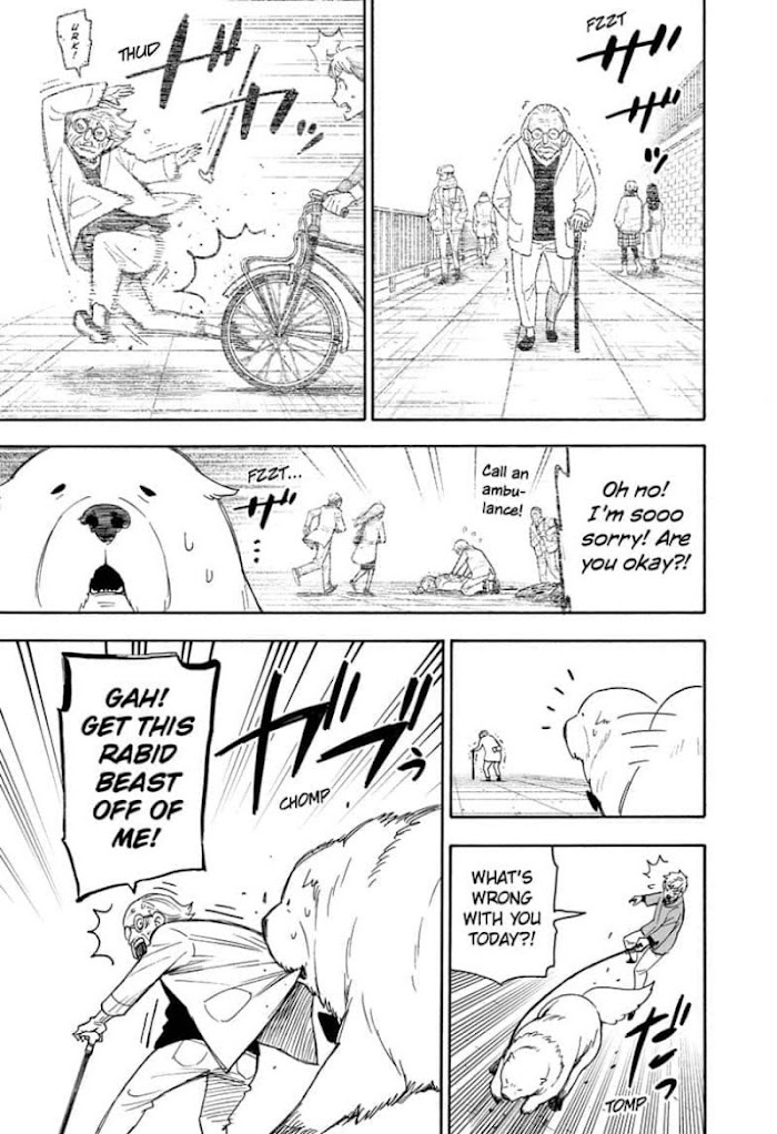 Read SPY x FAMILY Manga Online