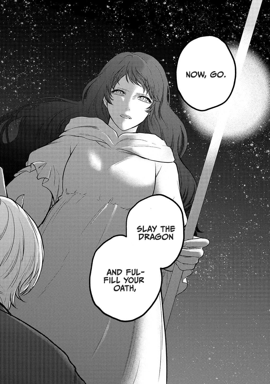 Read Saihate no Paladin Manga Online