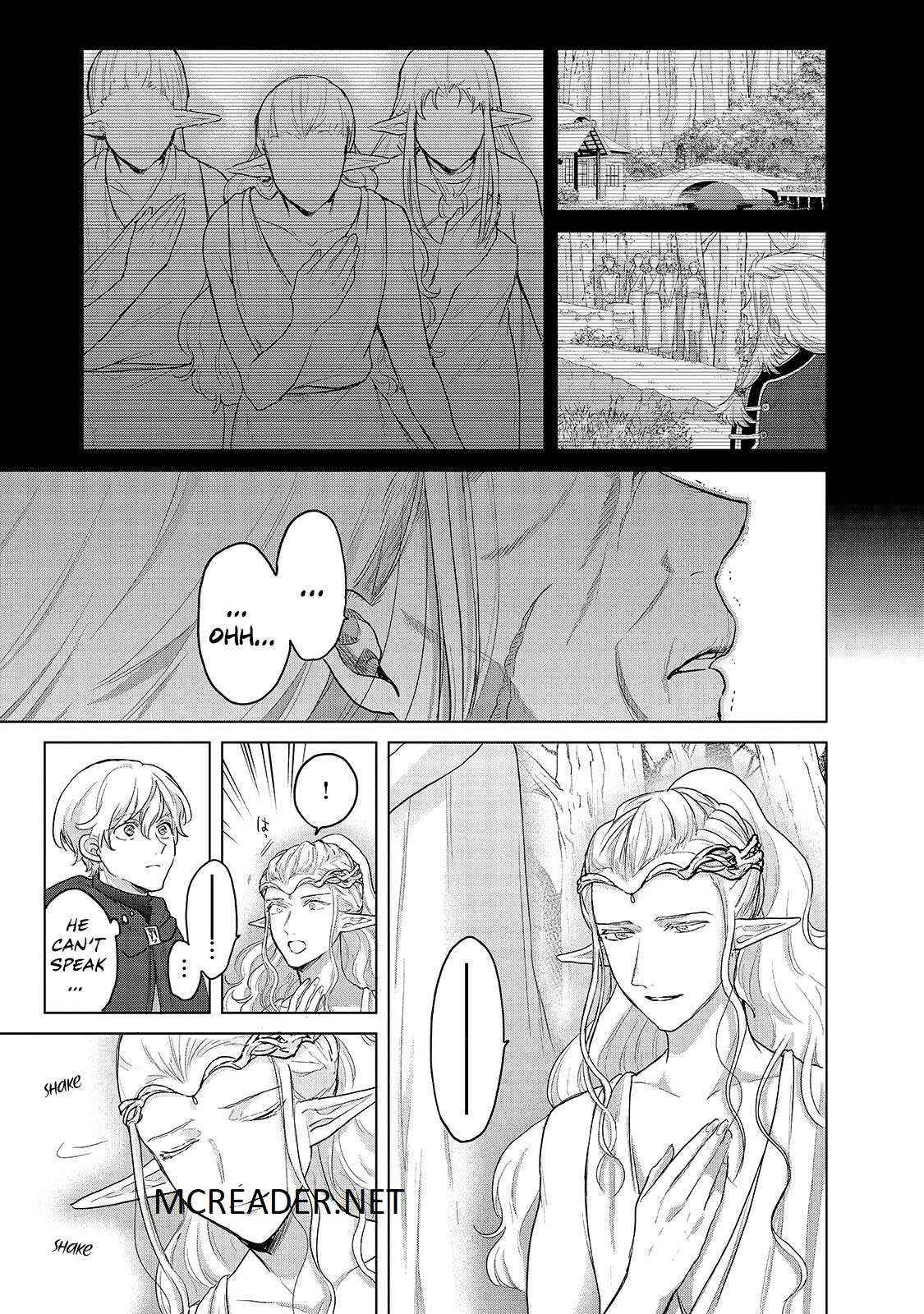 Read Saihate no Paladin Manga Online