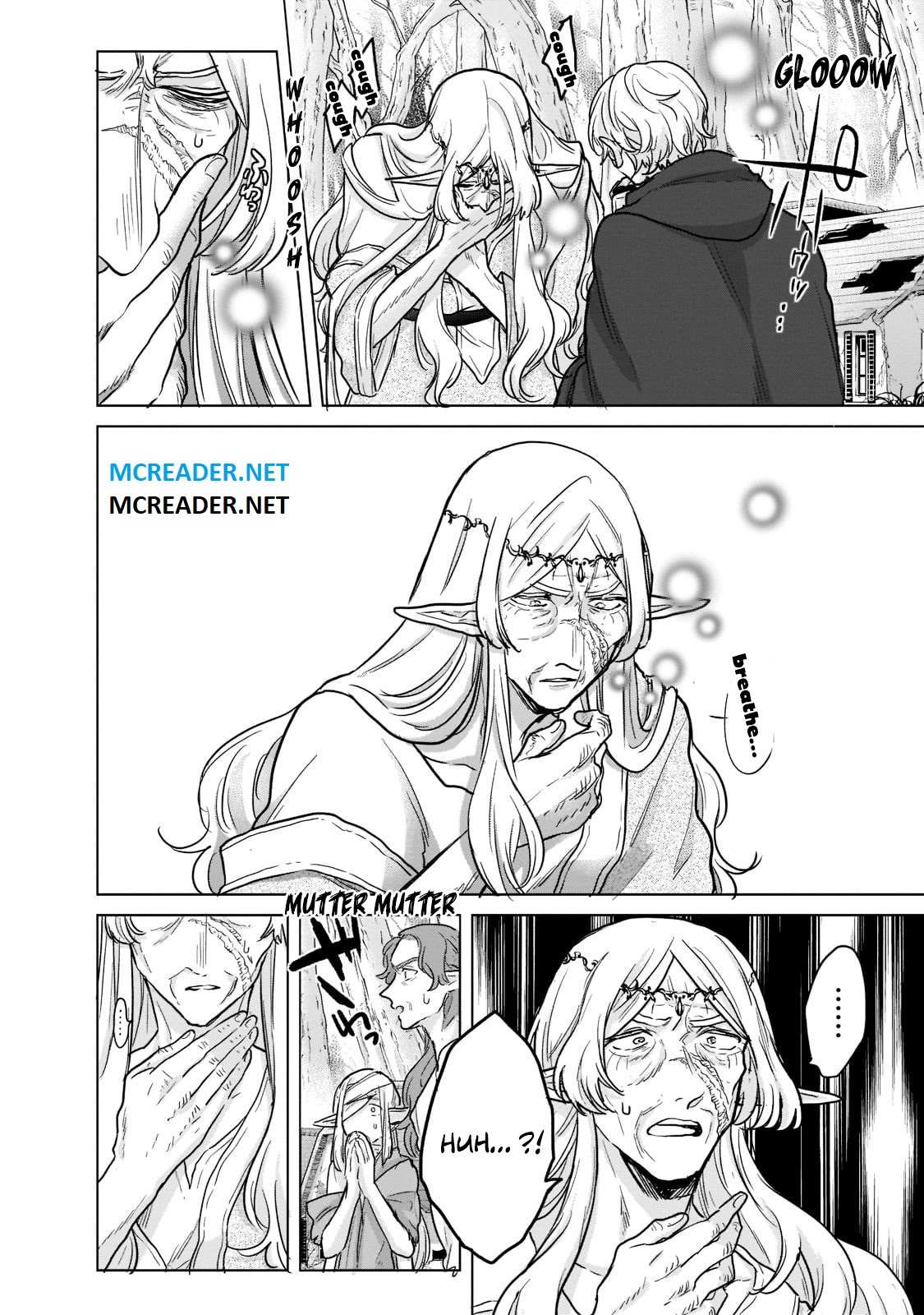 Read Saihate no Paladin Manga Online