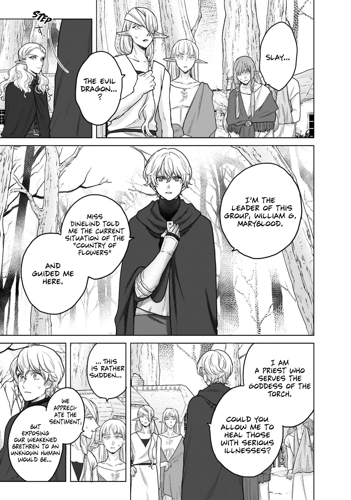Read Saihate no Paladin Manga Online