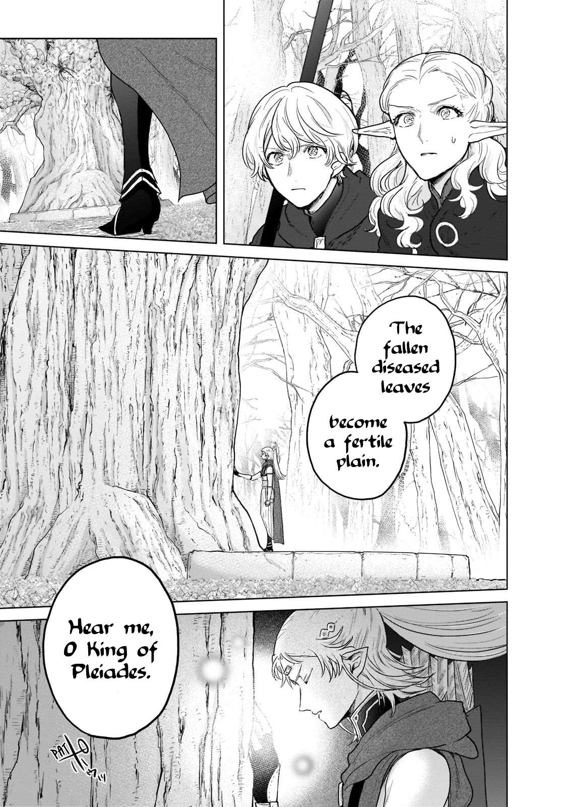 Read Saihate no Paladin Manga Online