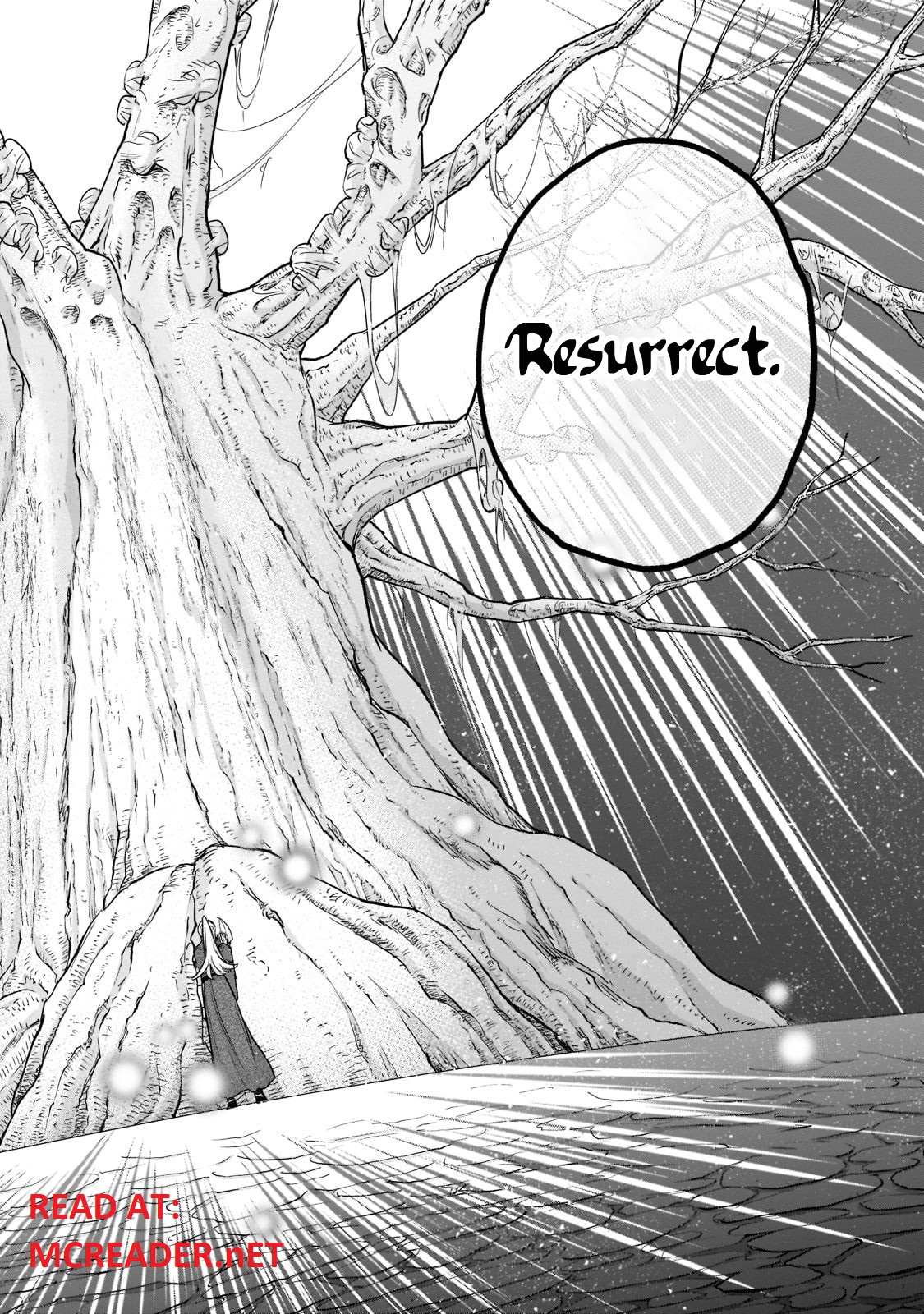 Read Saihate no Paladin Manga Online