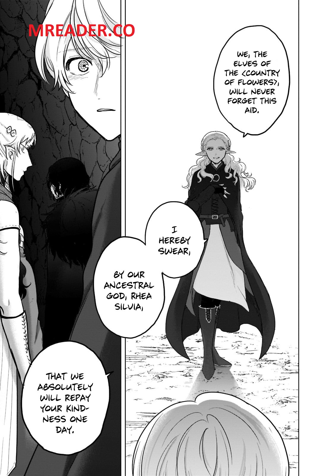 Read Saihate no Paladin Manga Online