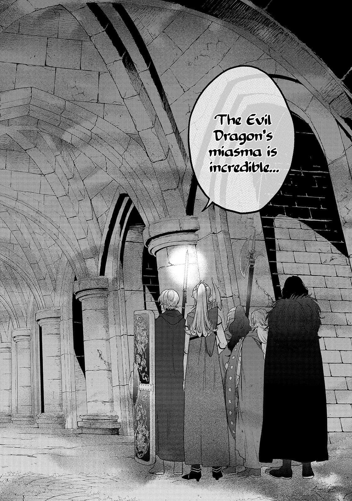 Read Saihate no Paladin Manga Online