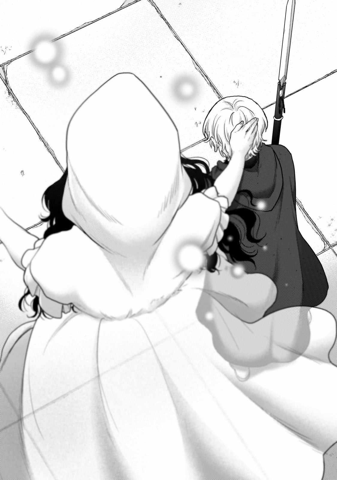 Read Saihate no Paladin Manga Online