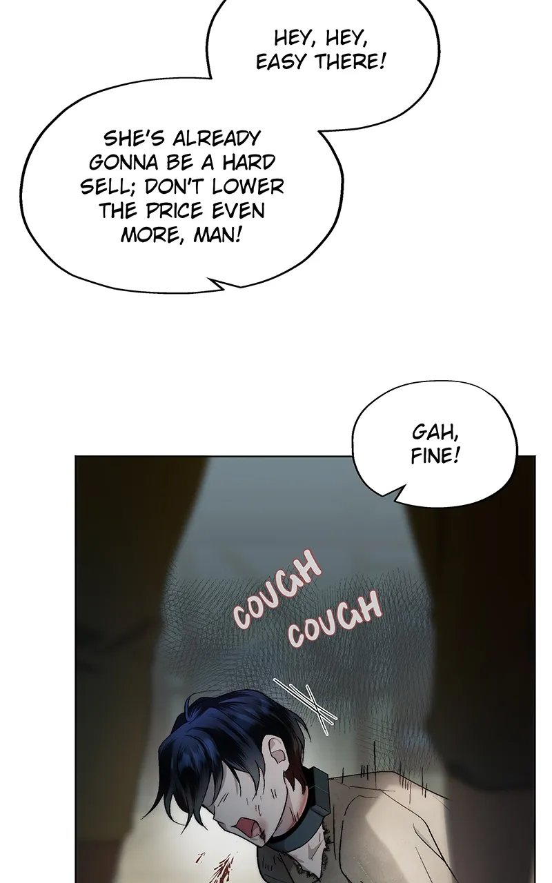 Read Seabird and the Wolf Manga Online