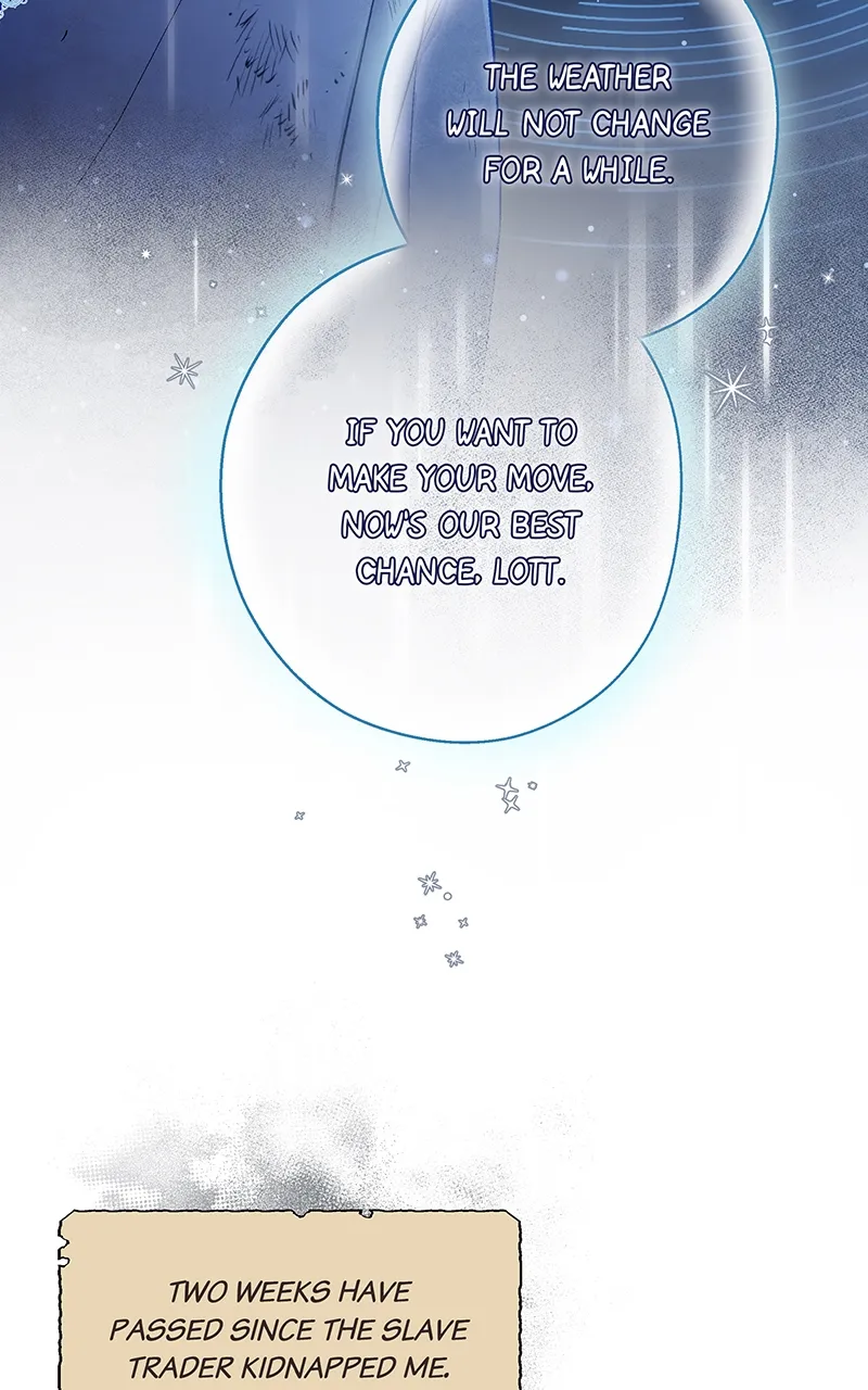 Read Seabird and the Wolf Manga Online