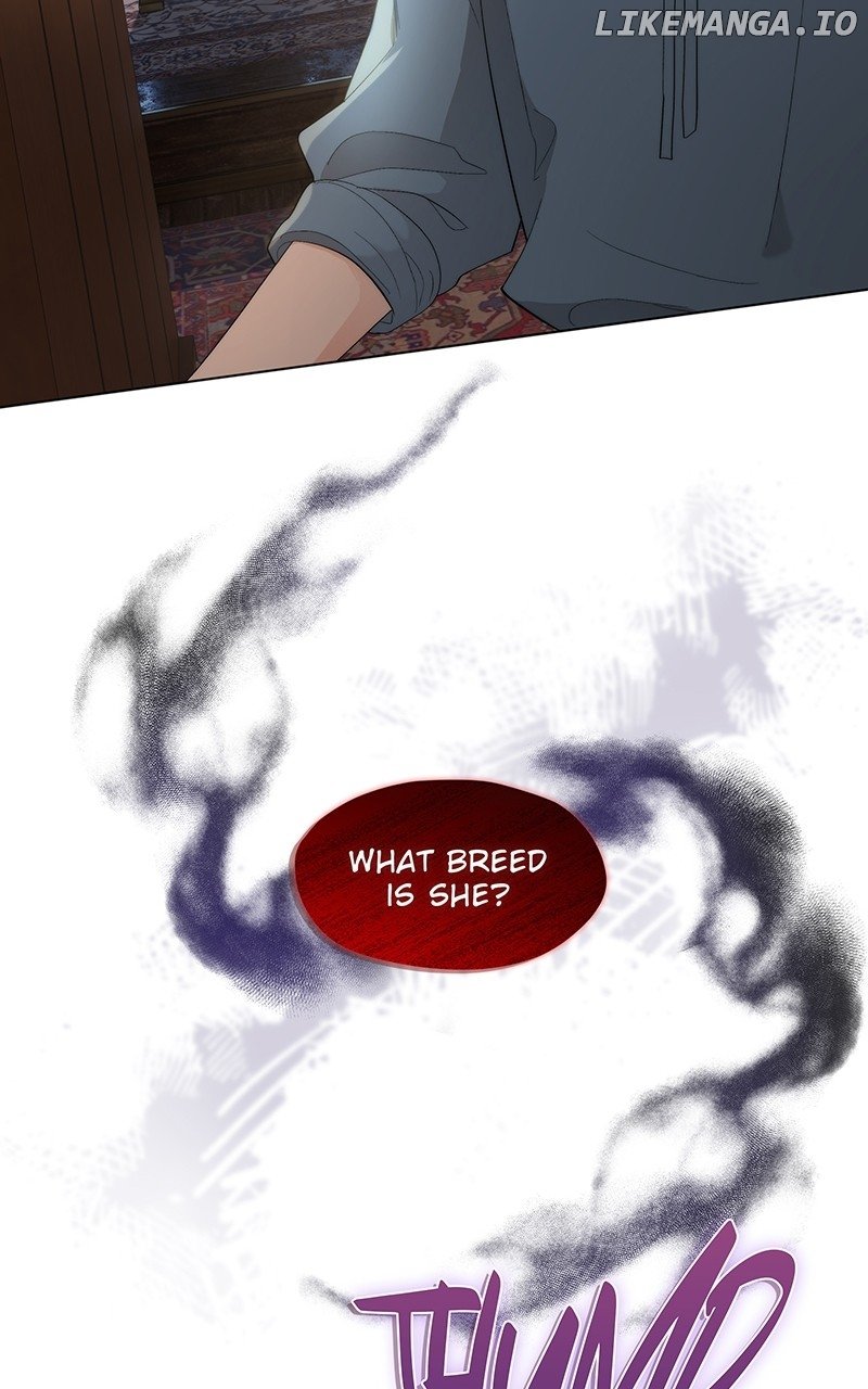 Read Seabird and the Wolf Manga Online
