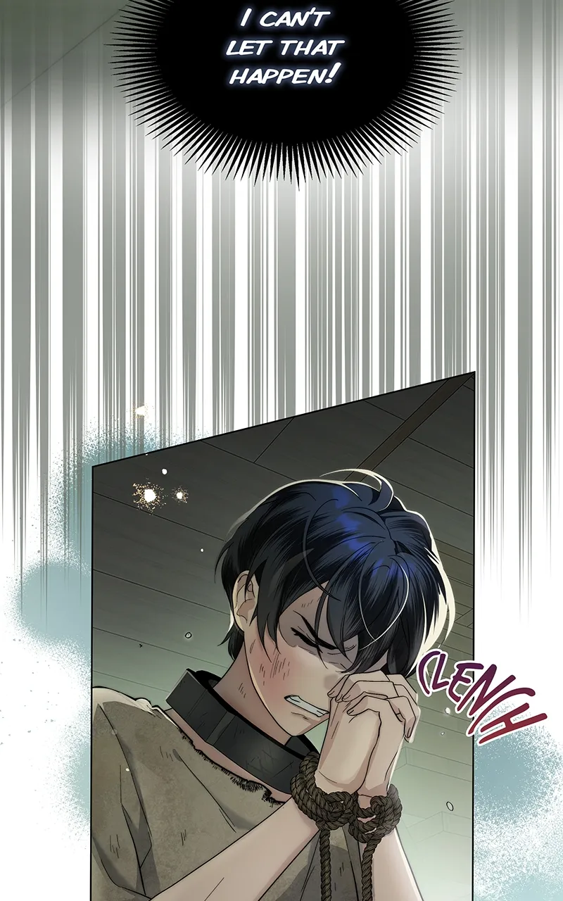 Read Seabird and the Wolf Manga Online