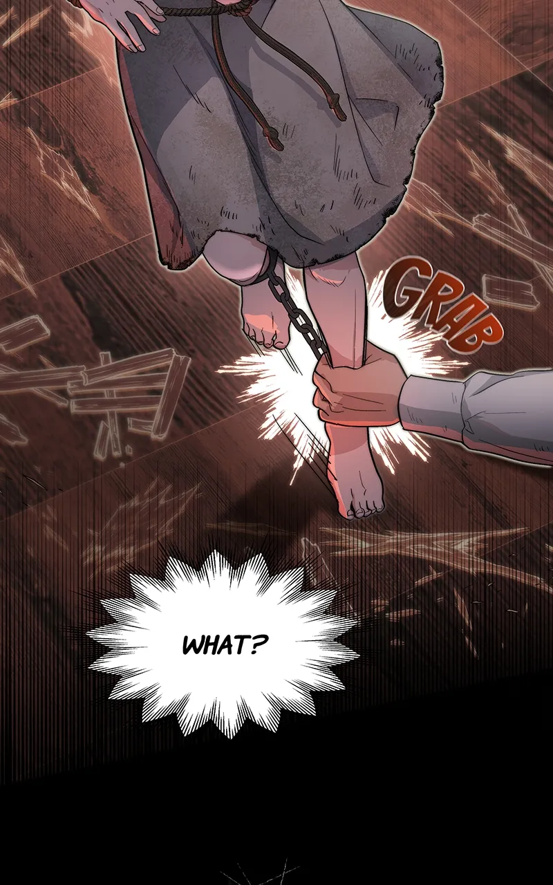 Read Seabird and the Wolf Manga Online