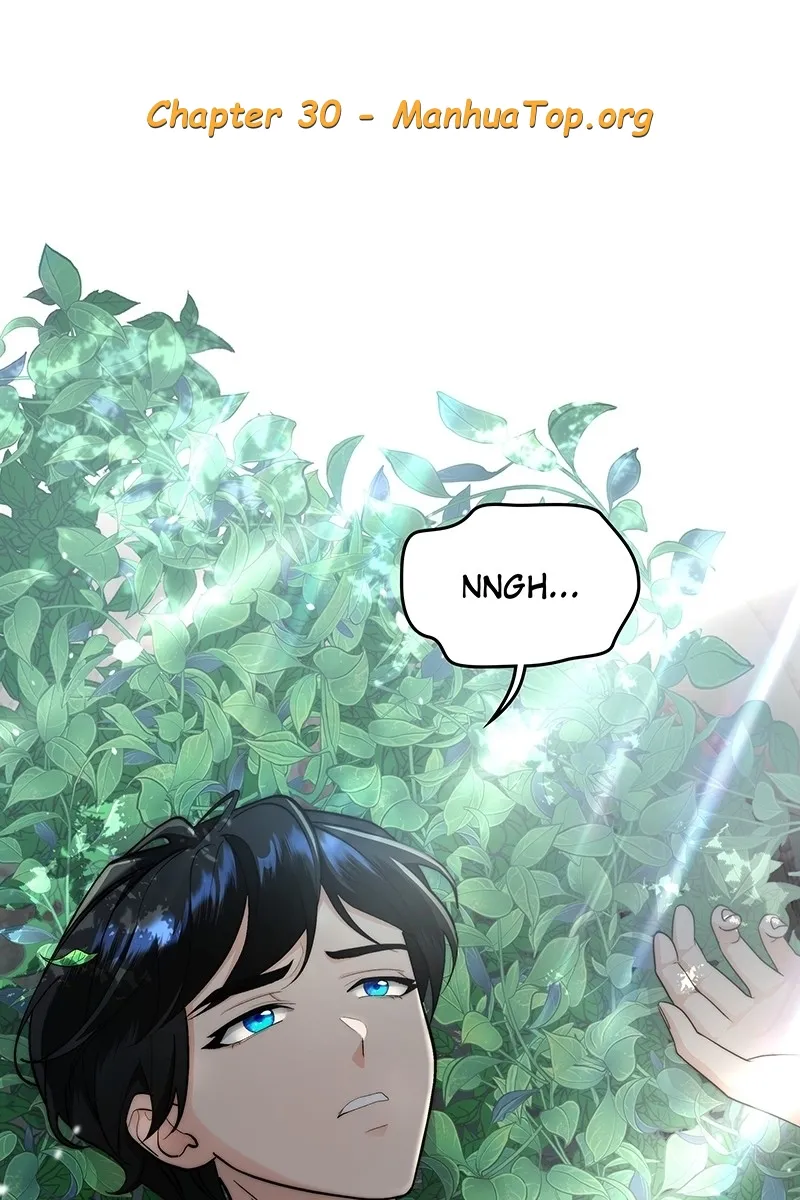 Read Seabird and the Wolf Manga Online