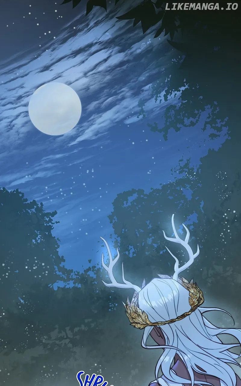 Read Seabird and the Wolf Manga Online