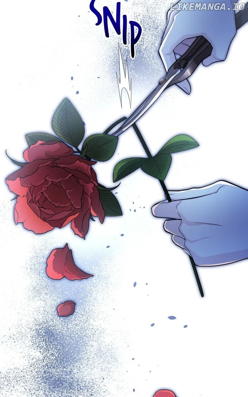 Read Seabird and the Wolf Manga Online