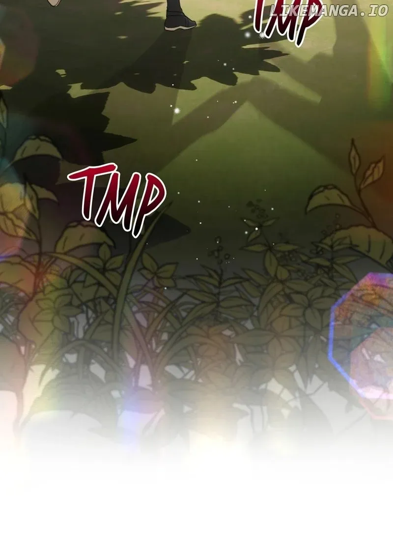 Read Seabird and the Wolf Manga Online