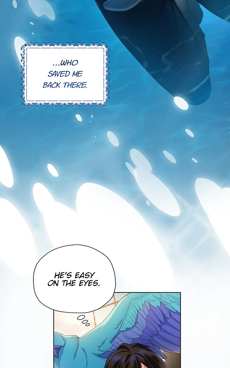 Read Seabird and the Wolf Manga Online