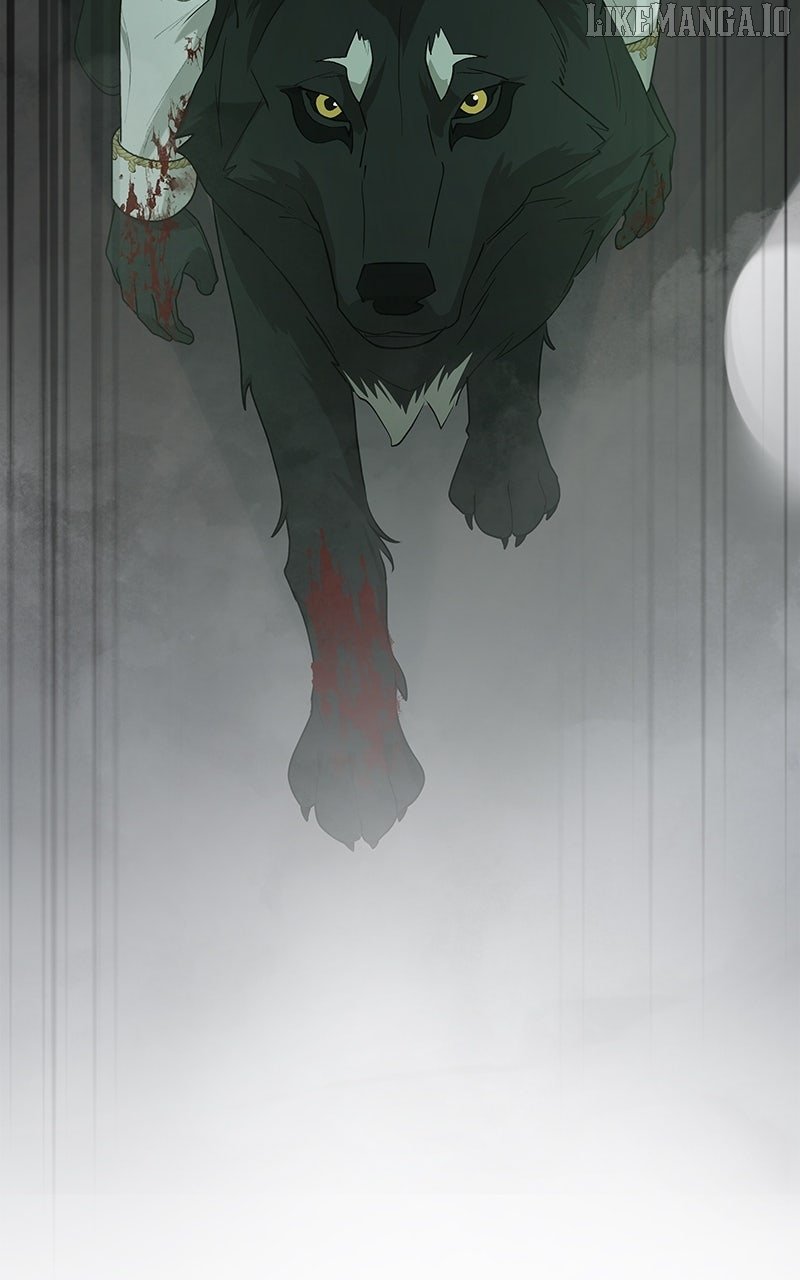 Read Seabird and the Wolf Manga Online