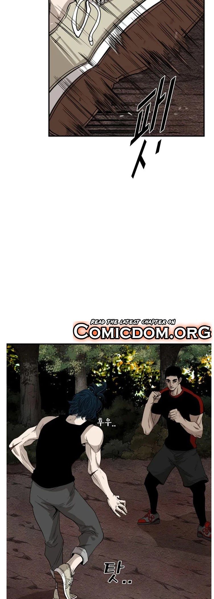 Read Shark Manga Online