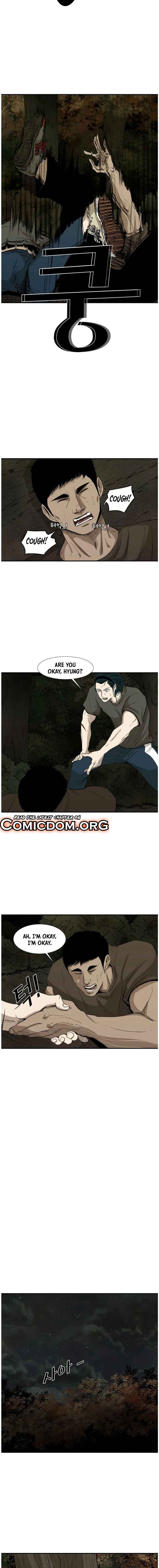 Read Shark Manga Online