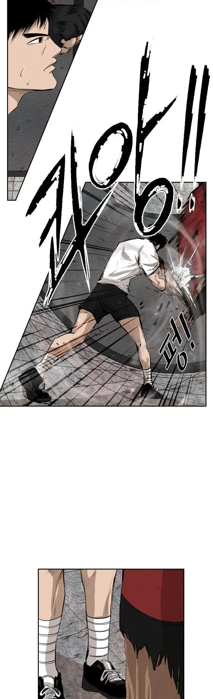 Read Shark Manga Online