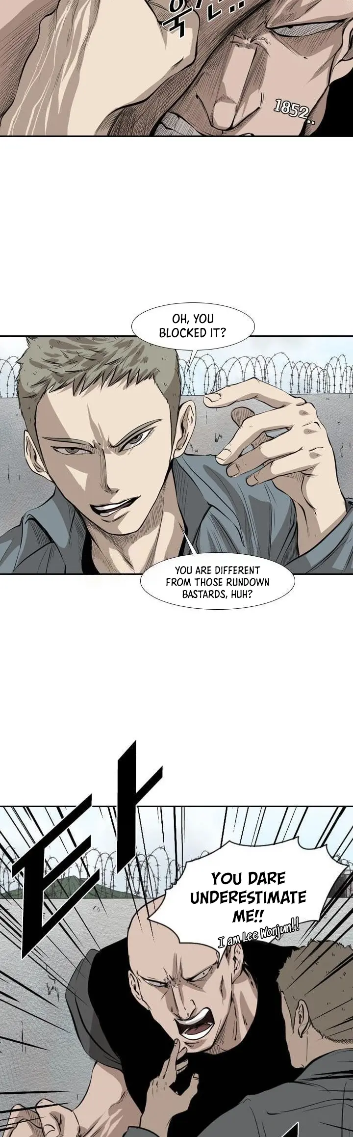 Read Shark Manga Online